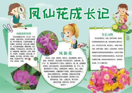 凤仙花植物成长日记