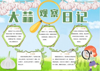 大蒜观察日记大蒜观察日记4