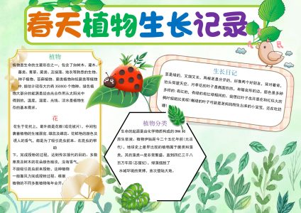 春天植物生长记录